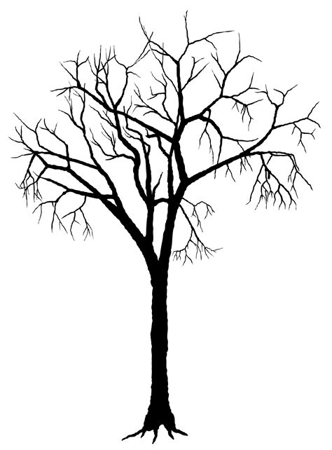 tree silhouette|outline picture of tree silhouette.